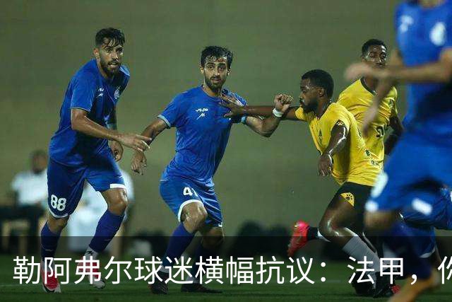 勒阿弗尔球迷横幅抗议：法甲，你是在惩罚我们吗？