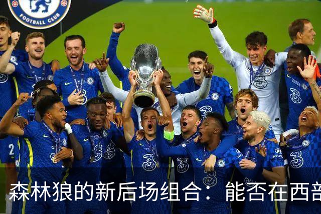 森林狼的新后场组合：能否在西部如猛狮般咆哮？